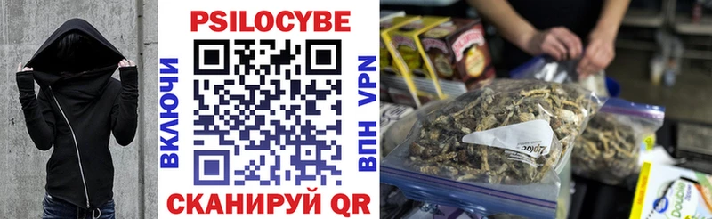 Галлюциногенные грибы Psilocybe наркотики Плавск